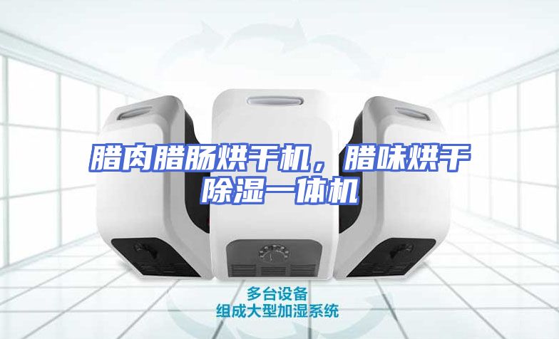 腊肉腊肠烘干机，腊味烘干除湿一体机