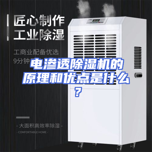 电渗透除湿机的原理和优点是什么？