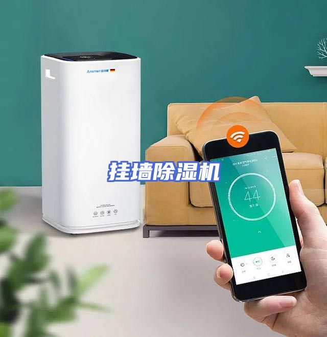 挂墙除湿机