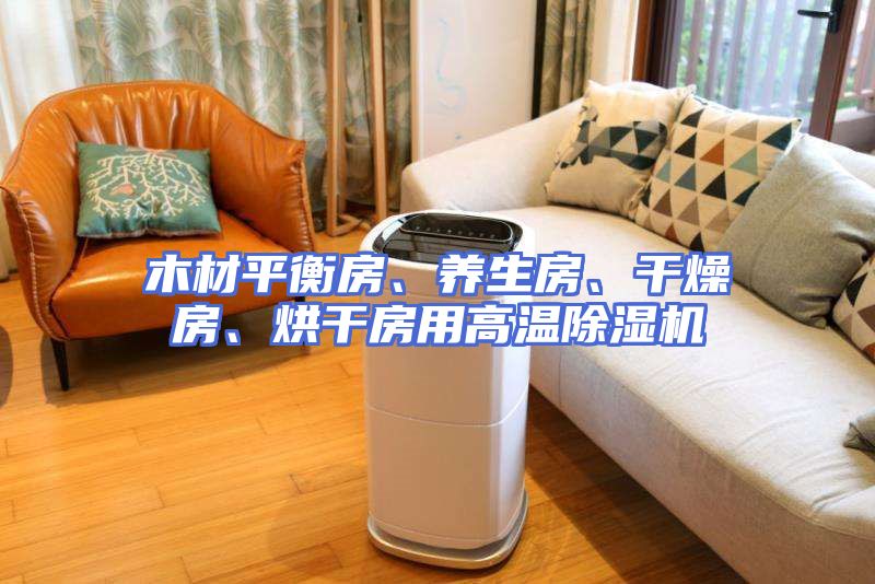 木材平衡房、养生房、干燥房、烘干房用高温除湿机