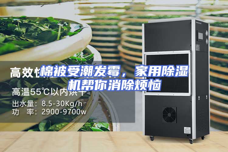 棉被受潮发霉，家用除湿机帮你消除烦恼