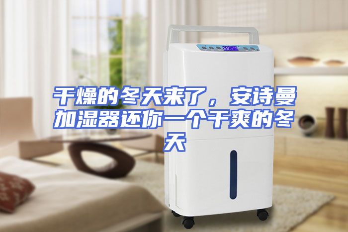 干燥的冬天来了，安诗曼加湿器还你一个干爽的冬天