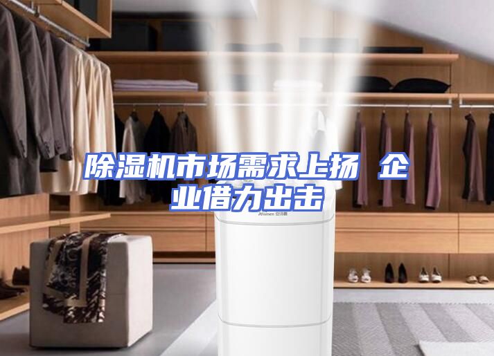 除湿机市场需求上扬 企业借力出击