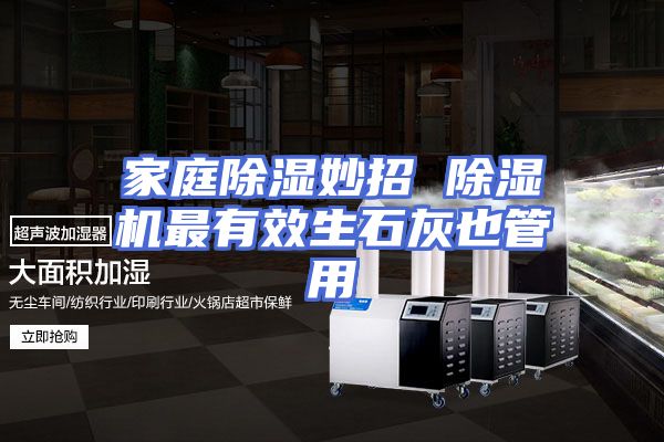 家庭除湿妙招 除湿机最有效生石灰也管用