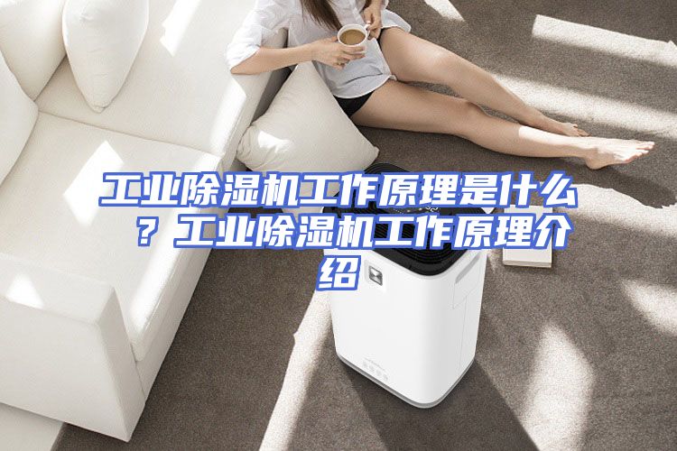 工业除湿机工作原理是什么 ？工业除湿机工作原理介绍