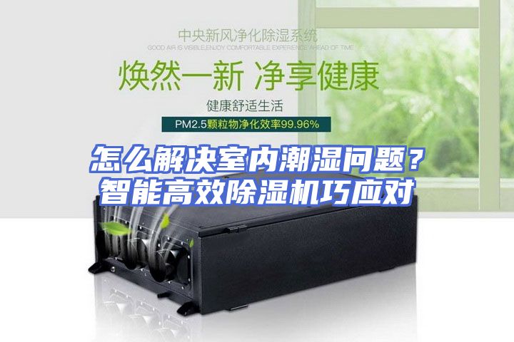 怎么解决室内潮湿问题？智能高效除湿机巧应对