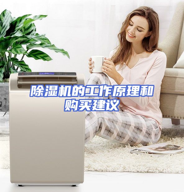 除湿机的工作原理和购买建议