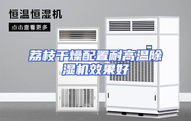 荔枝干燥配置耐高温除湿机效果好