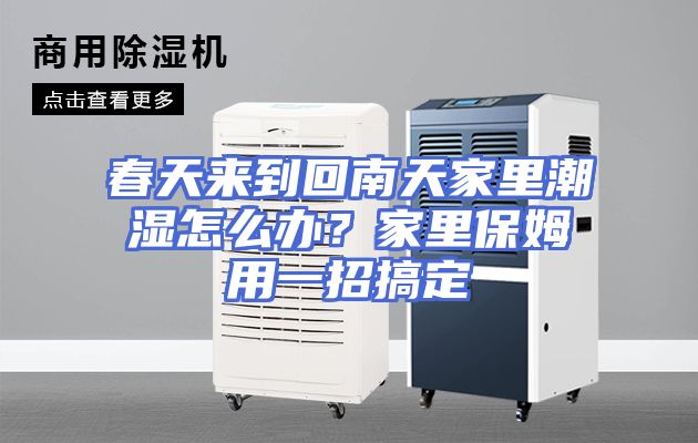 春天来到回南天家里潮湿怎么办？家里保姆用一招搞定
