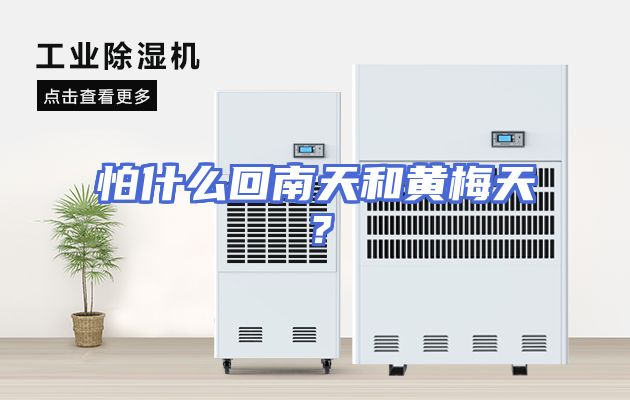 怕什么回南天和黄梅天？
