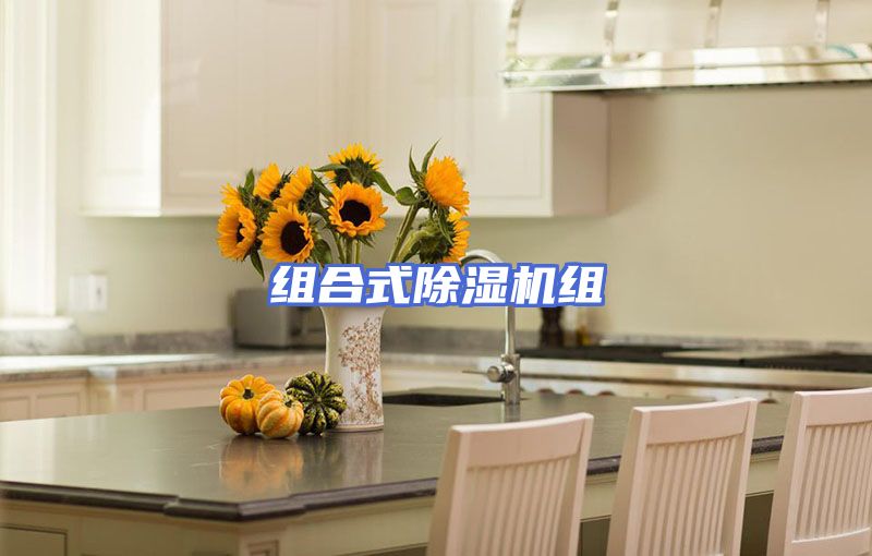 组合式除湿机组