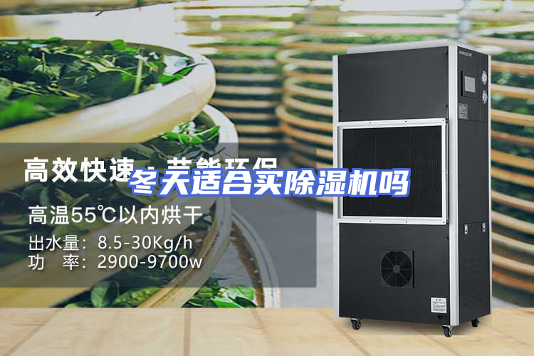 冬天适合买除湿机吗