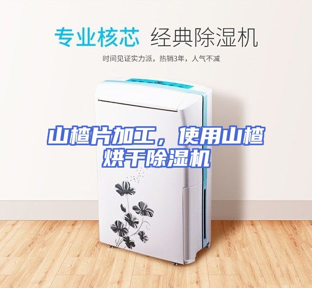 山楂片加工，使用山楂烘干除湿机