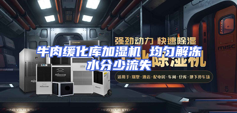 牛肉缓化库加湿机 均匀解冻水分少流失