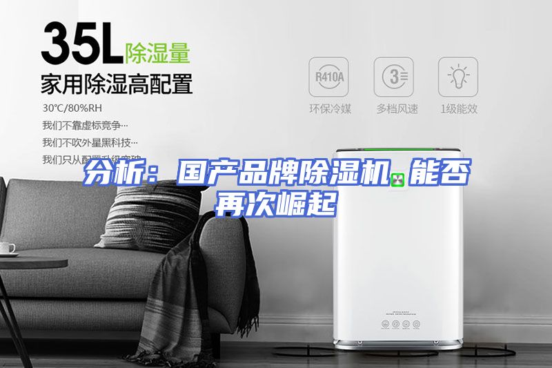 分析：国产品牌除湿机 能否再次崛起