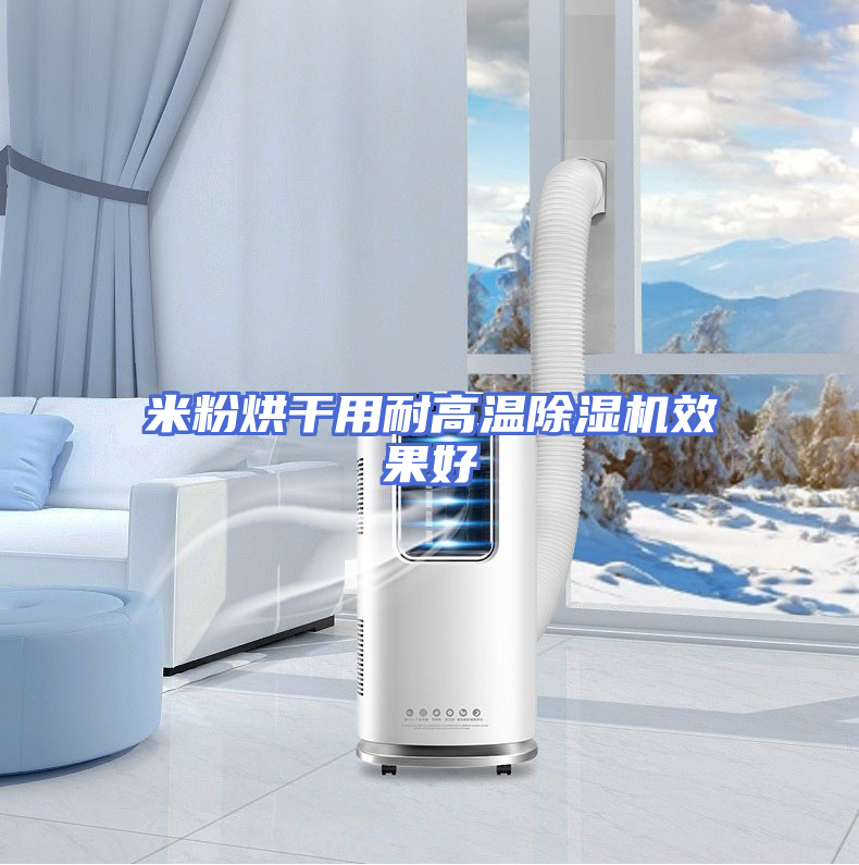 米粉烘干用耐高温除湿机效果好