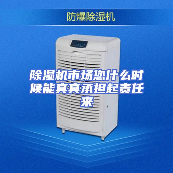 除湿机市场您什么时候能真真承担起责任来