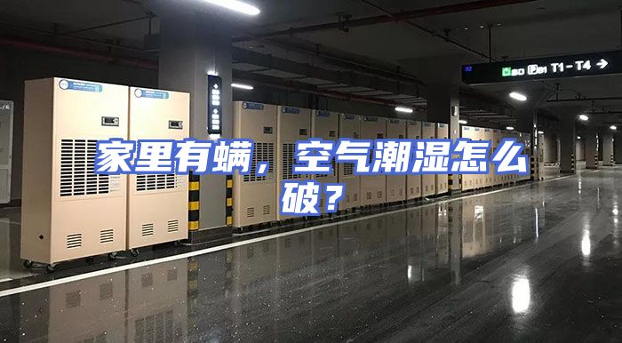 家里有螨，空气潮湿怎么破？