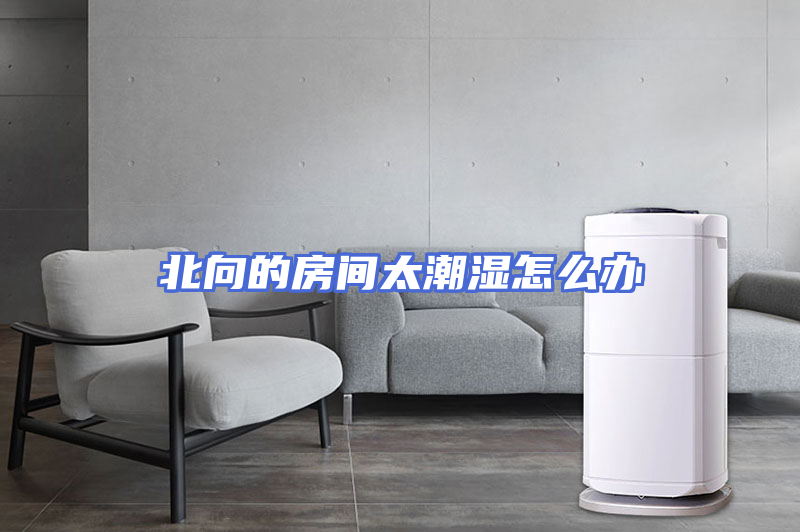 北向的房间太潮湿怎么办