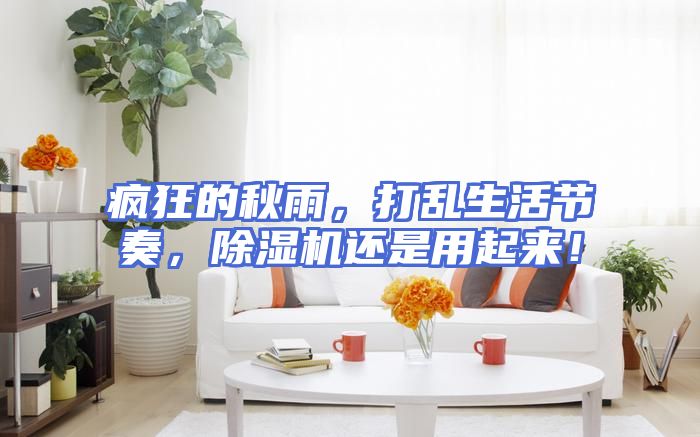 疯狂的秋雨，打乱生活节奏，除湿机还是用起来！