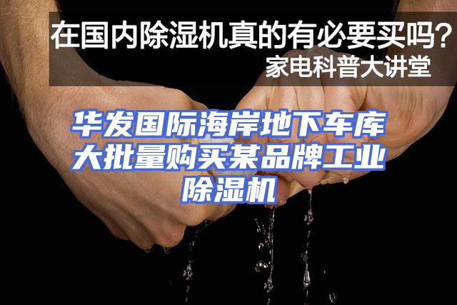华发国际海岸地下车库大批量购买某品牌工业除湿机