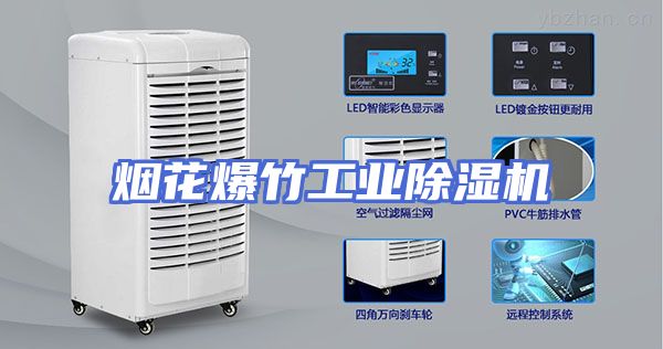 烟花爆竹工业除湿机