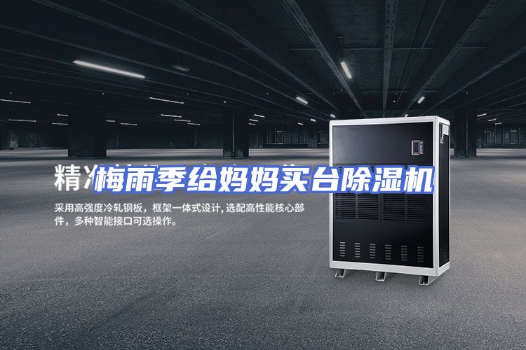 梅雨季给妈妈买台除湿机