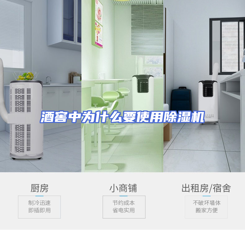 酒窖中为什么要使用除湿机