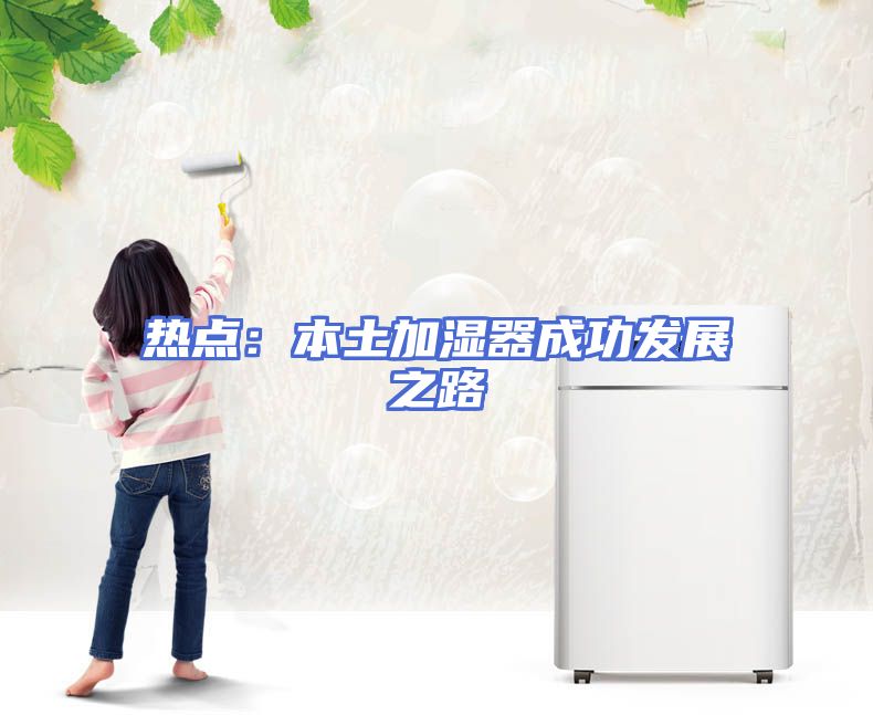 热点：本土加湿器成功发展之路