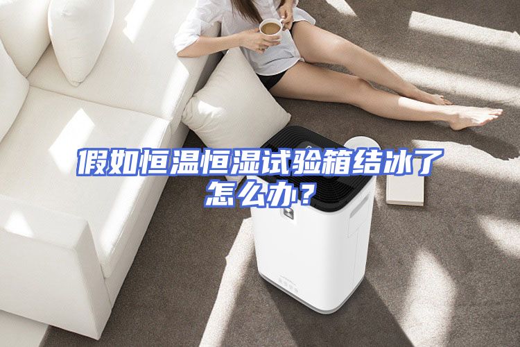 假如恒温恒湿试验箱结冰了怎么办?