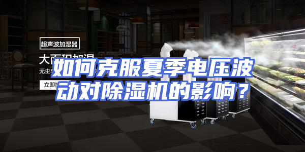 如何克服夏季电压波动对除湿机的影响？