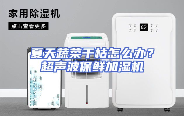 夏天蔬菜干枯怎么办？超声波保鲜加湿机
