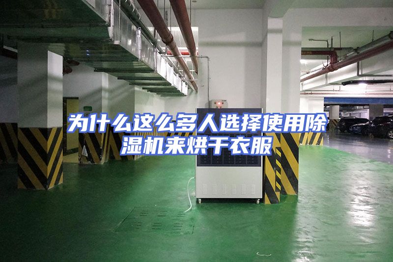 为什么这么多人选择使用除湿机来烘干衣服