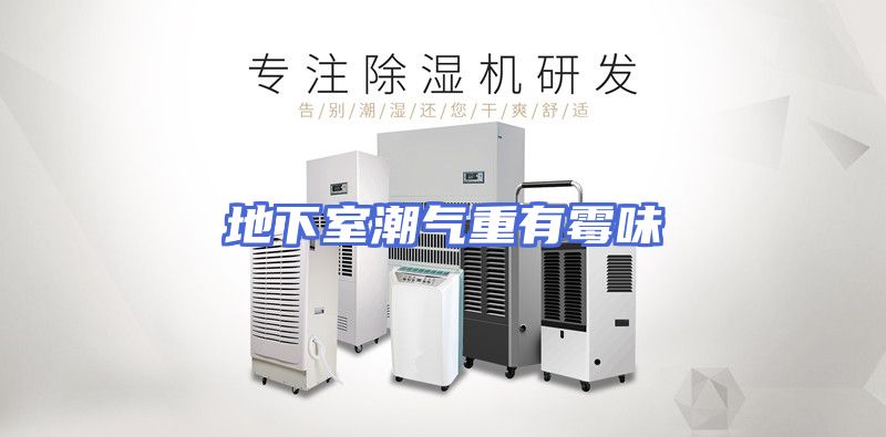 地下室潮气重有霉味