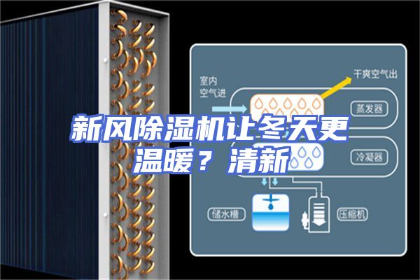 新风除湿机让冬天更温暖？清新