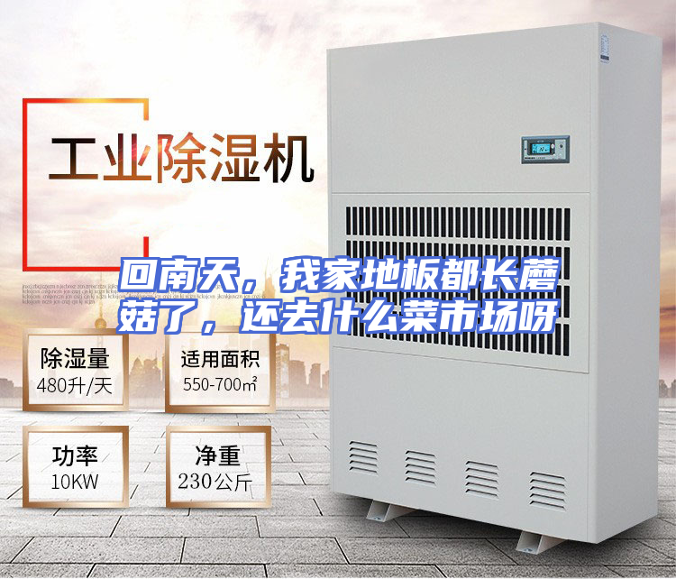 回南天，我家地板都长蘑菇了，还去什么菜市场呀