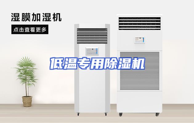 低温专用除湿机