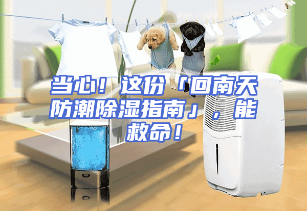 当心！这份「回南天防潮除湿指南」，能救命！
