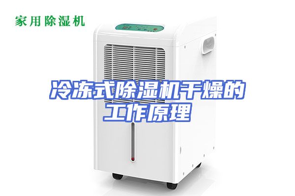 冷冻式除湿机干燥的工作原理
