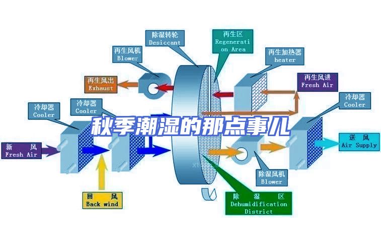 秋季潮湿的那点事儿
