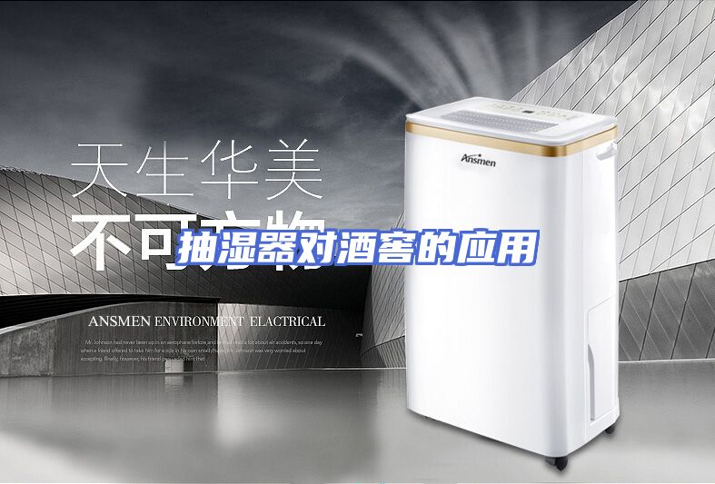 抽湿器对酒窖的应用