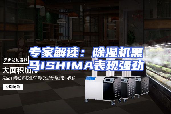 专家解读：除湿机黑马ISHIMA表现强劲