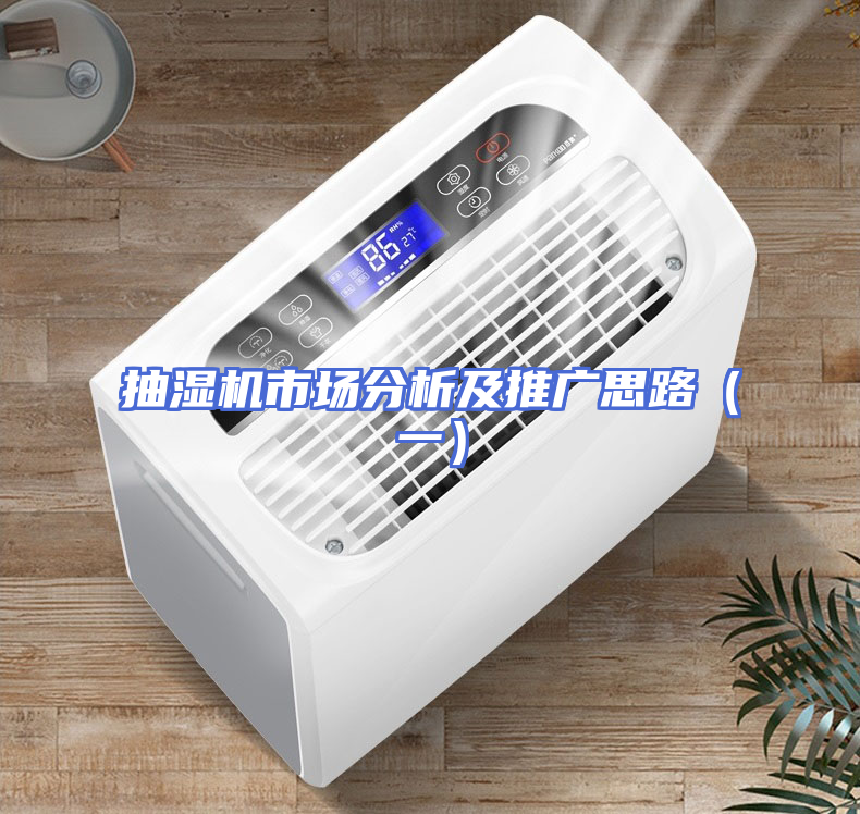 抽湿机市场分析及推广思路（一）