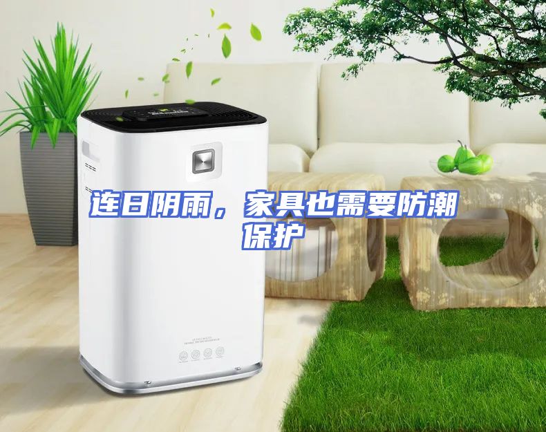 连日阴雨，家具也需要防潮保护