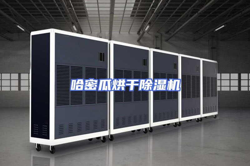 哈密瓜烘干除湿机
