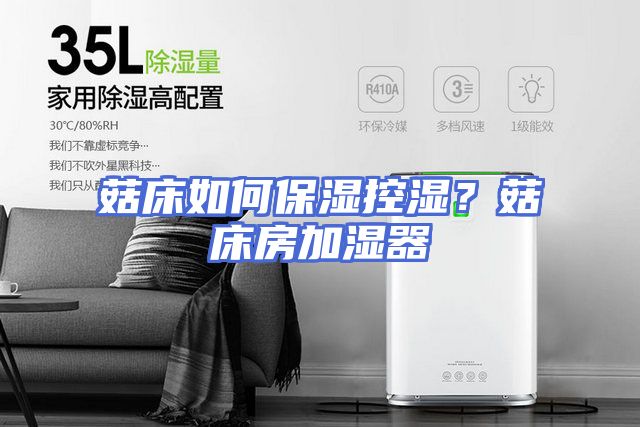 菇床如何保湿控湿？菇床房加湿器