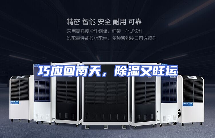 巧应回南天，除湿又旺运