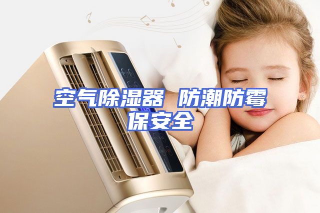 空气除湿器 防潮防霉保安全