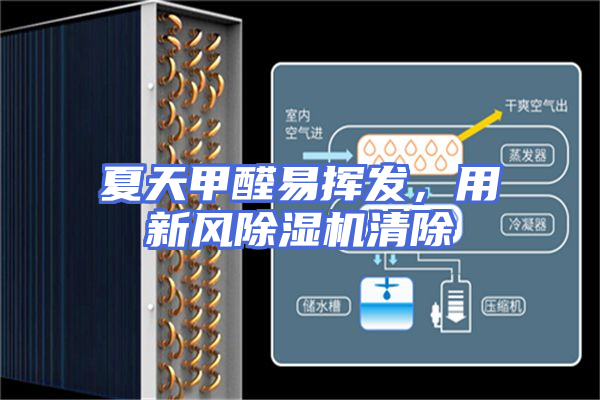 夏天甲醛易挥发，用新风除湿机清除