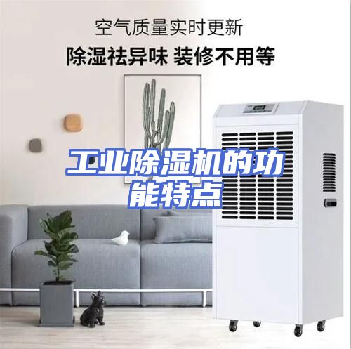 工业除湿机的功能特点